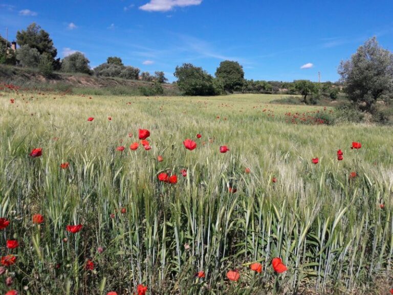 Road Trip en Aragon